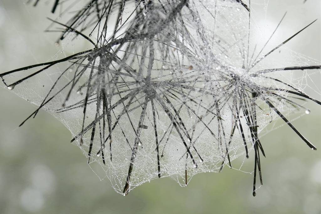 网呀网<strong></p>
<p>火币网</strong>，说不清的网