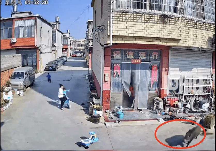 街头横冲直闯<strong></p>
<p>币全交易平台</strong>，抱娃女子被撞伤，警方：已被特警击毙