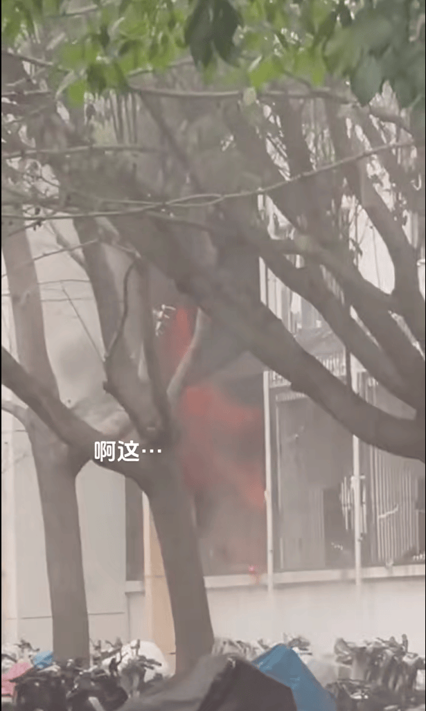 女生宿舍起火<strong></p>
<p>友利平台</strong>，楼栋闸机成撤离“拦路虎”，警务室：刷脸是为保障安全