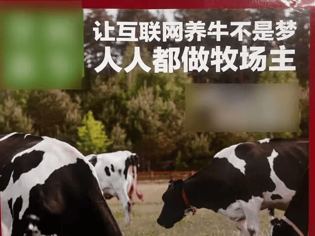 300万元变6万斤牛肉<strong></p>
<p>exx交易平台下载</strong>，吃不到也卖不了，什么情况？