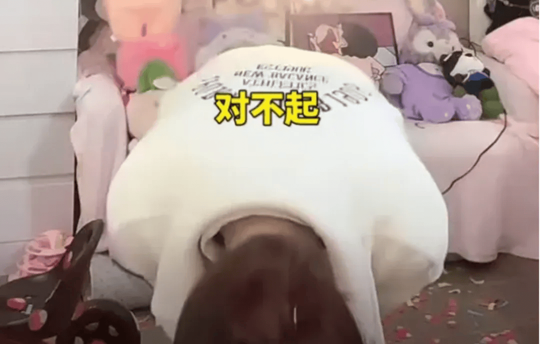 吴柳芳再被罚<strong></p>
<p>币圈平台</strong>！粉丝数从600多万暴降到4万！
