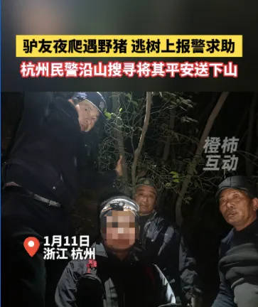 “我现在在树上<strong></p>
<p>zzex交易平台</strong>，野猪在下面……”杭州一男子深夜报警！