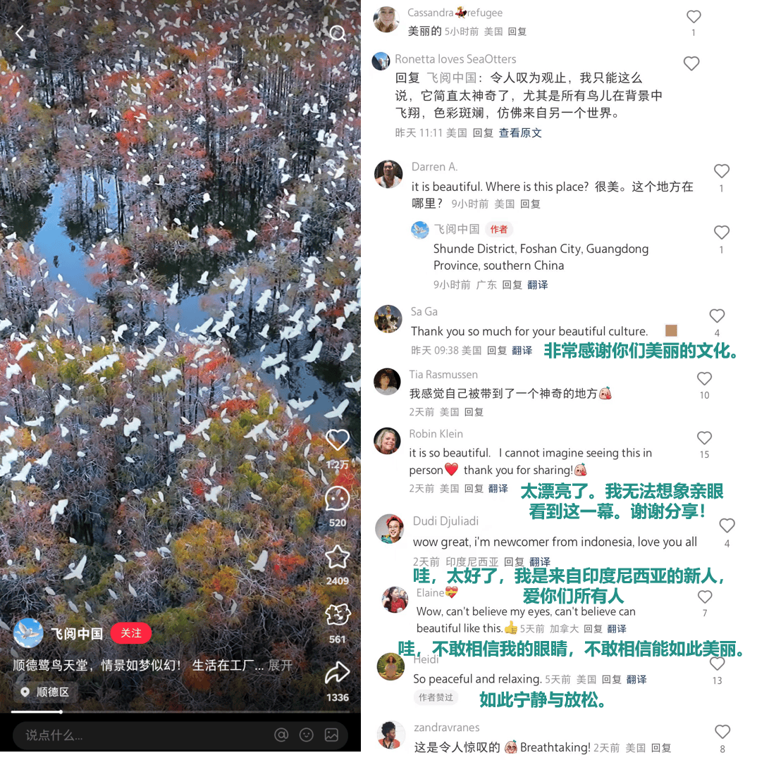 小红书上的外国网友<strong></p>
<p>平台交易网站有哪些</strong>，都在点赞佛山什么？