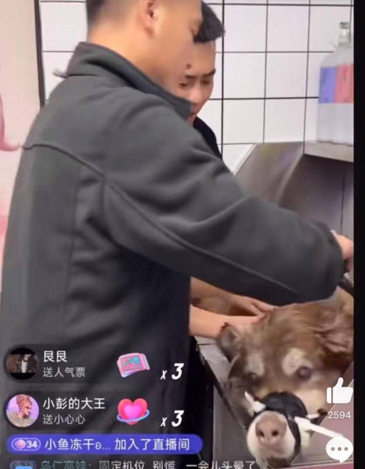 千万粉丝训犬师网红潘宏账号内容被一夜清空<strong></p>
<p>加密货币交易平台排名</strong>，园区所在地官方：正调查