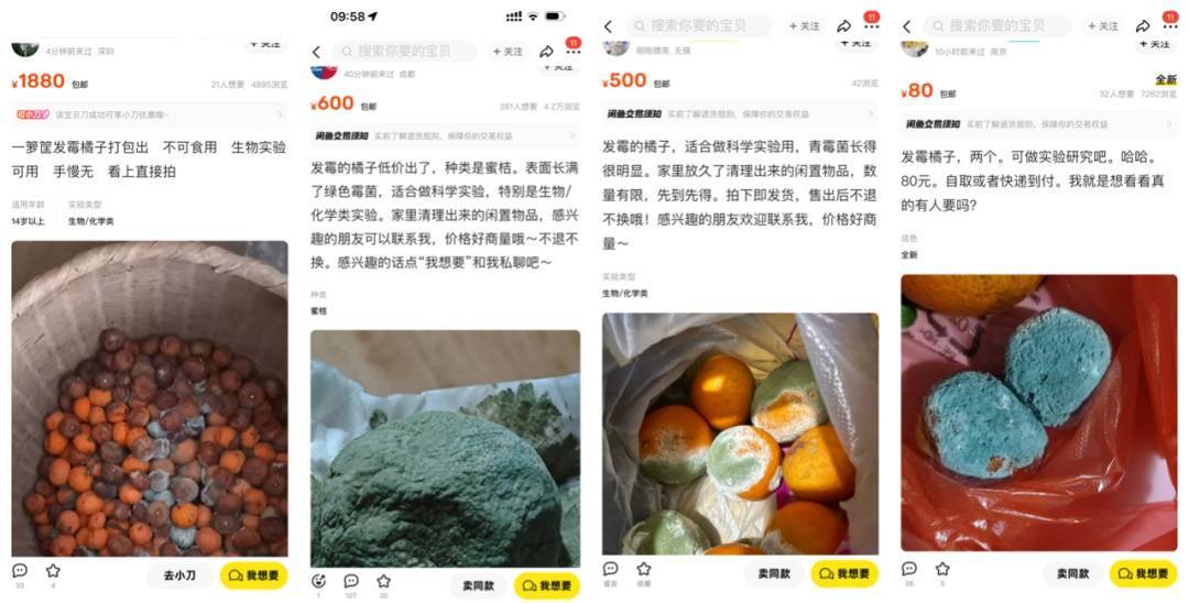 突然火了<strong></p>
<p>币创网交易平台</strong>！有人卖500元一个！网友：后悔扔了……