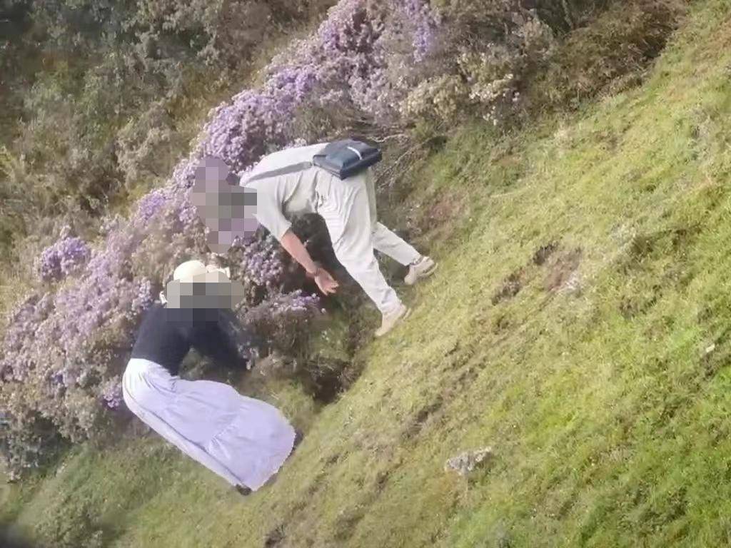 两游客在景区盗挖索玛花 警方：给予行政处罚<strong></p>
<p>群币网交易平台</strong>，两人认识到错误并作郑重道歉