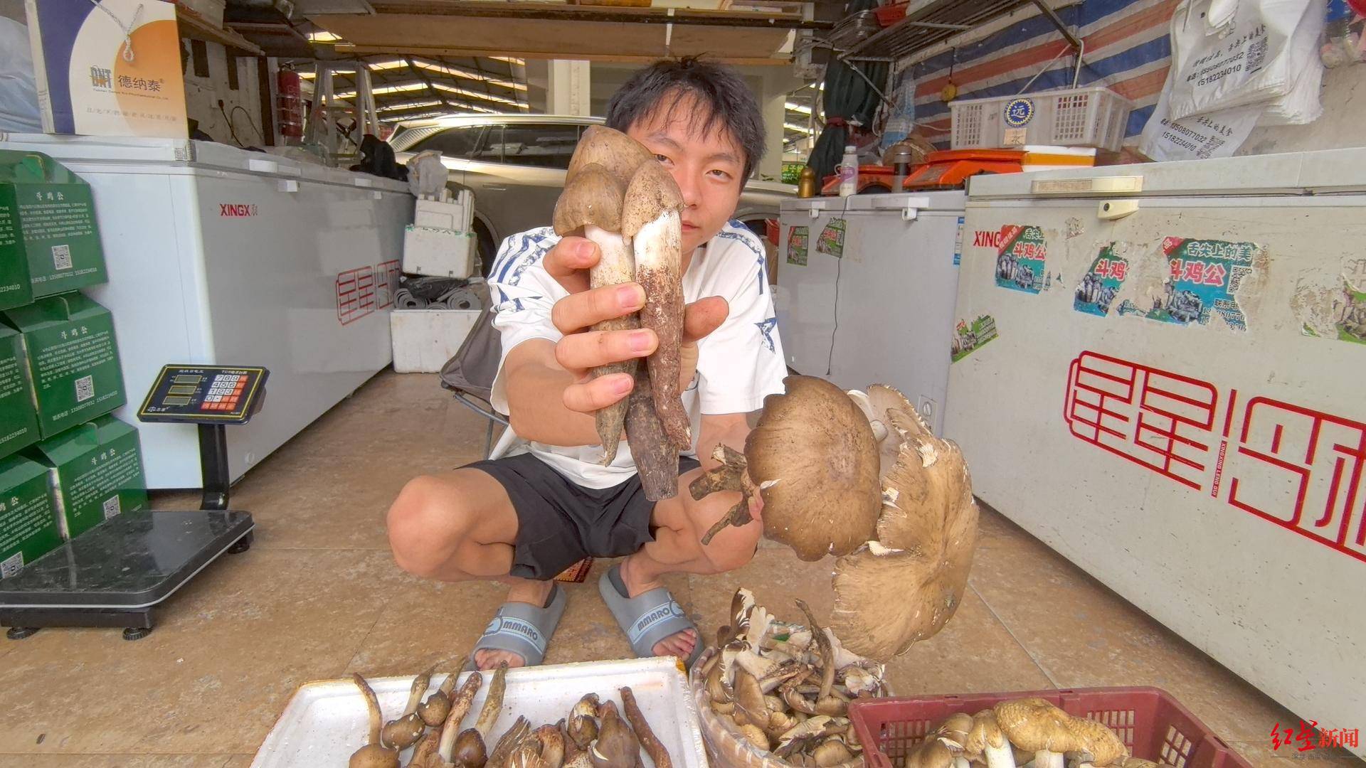 “天价”鸡枞调查：最贵卖到1800元/公斤！雨水少致产量低<strong></p>
<p>宁夏电力交易中心平台</strong>，多地价高客少