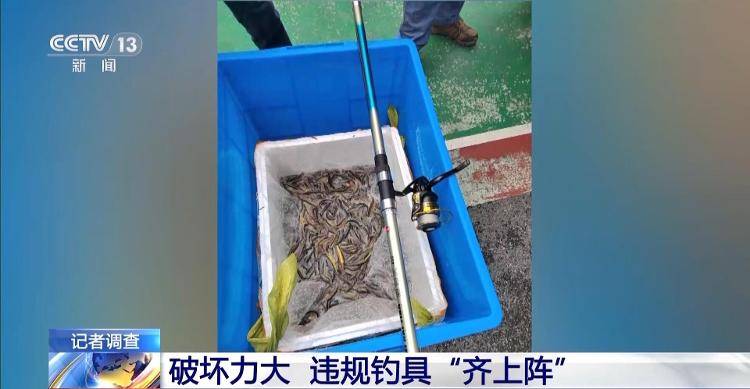 保护区里的“疯狂垂钓”屡禁不止<strong></p>
<p>宁夏电力交易中心平台</strong>！记者调查