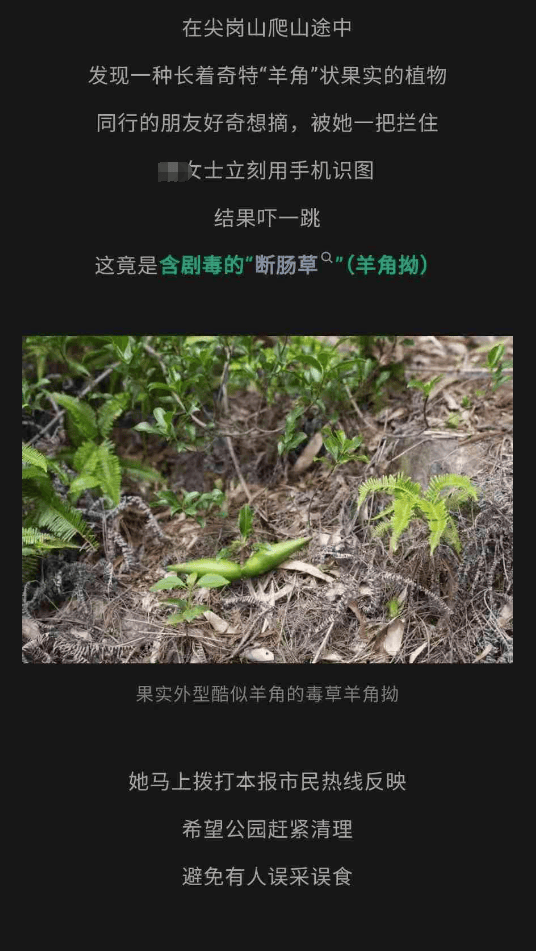 大片连根铲除！深圳一公园“火速响应”引质疑<strong></p>
<p>全球货币交易平台</strong>，网友为它喊冤