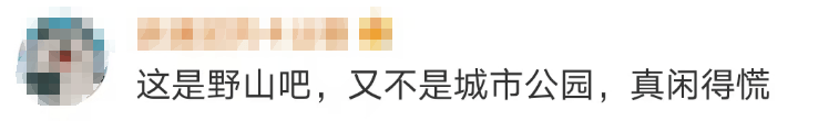 大片连根铲除！深圳一公园“火速响应”引质疑<strong></p>
<p>全球货币交易平台</strong>，网友为它喊冤