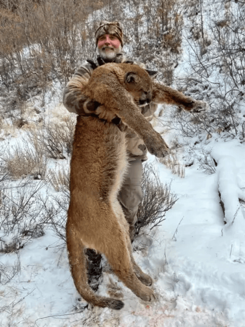 美国百万富翁在南非参加高端付费狩猎活动<strong></p>
<p>币乎白皮书</strong>，被水牛顶死