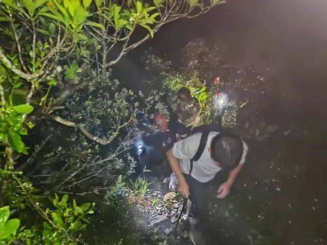 每人罚款5000元<strong></p>
<p>诚币网</strong>！深圳开出全国首张罚单