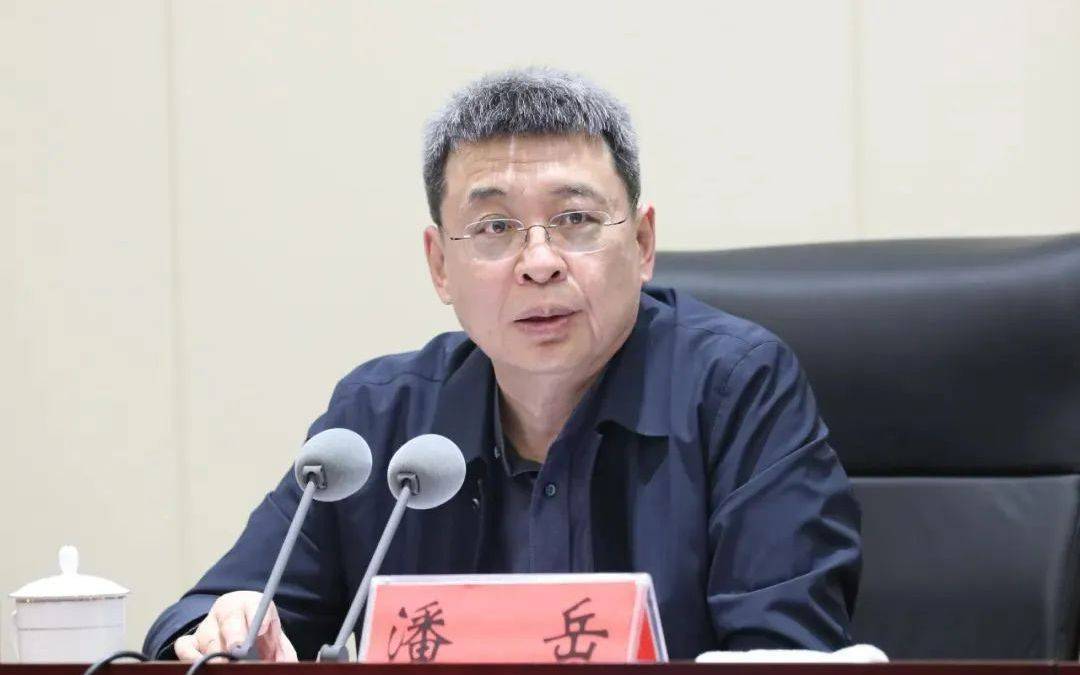 正部级潘岳<strong></p>
<p>韩国币币</strong>，有新职