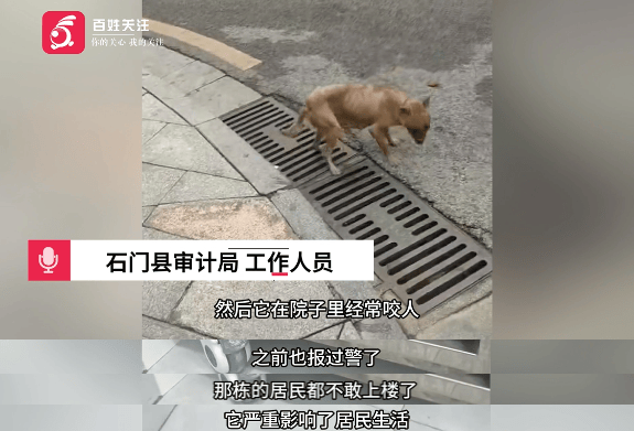 保安称“经常咬人”打死流浪犬<strong></p>
<p>先知</strong>，居民上门讨说法：这个门卫穷凶极恶