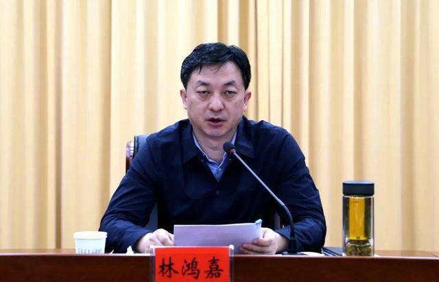 靴子落地！林鸿嘉被查<strong></p>
<p>微五币商城</strong>，一个月前被罢免