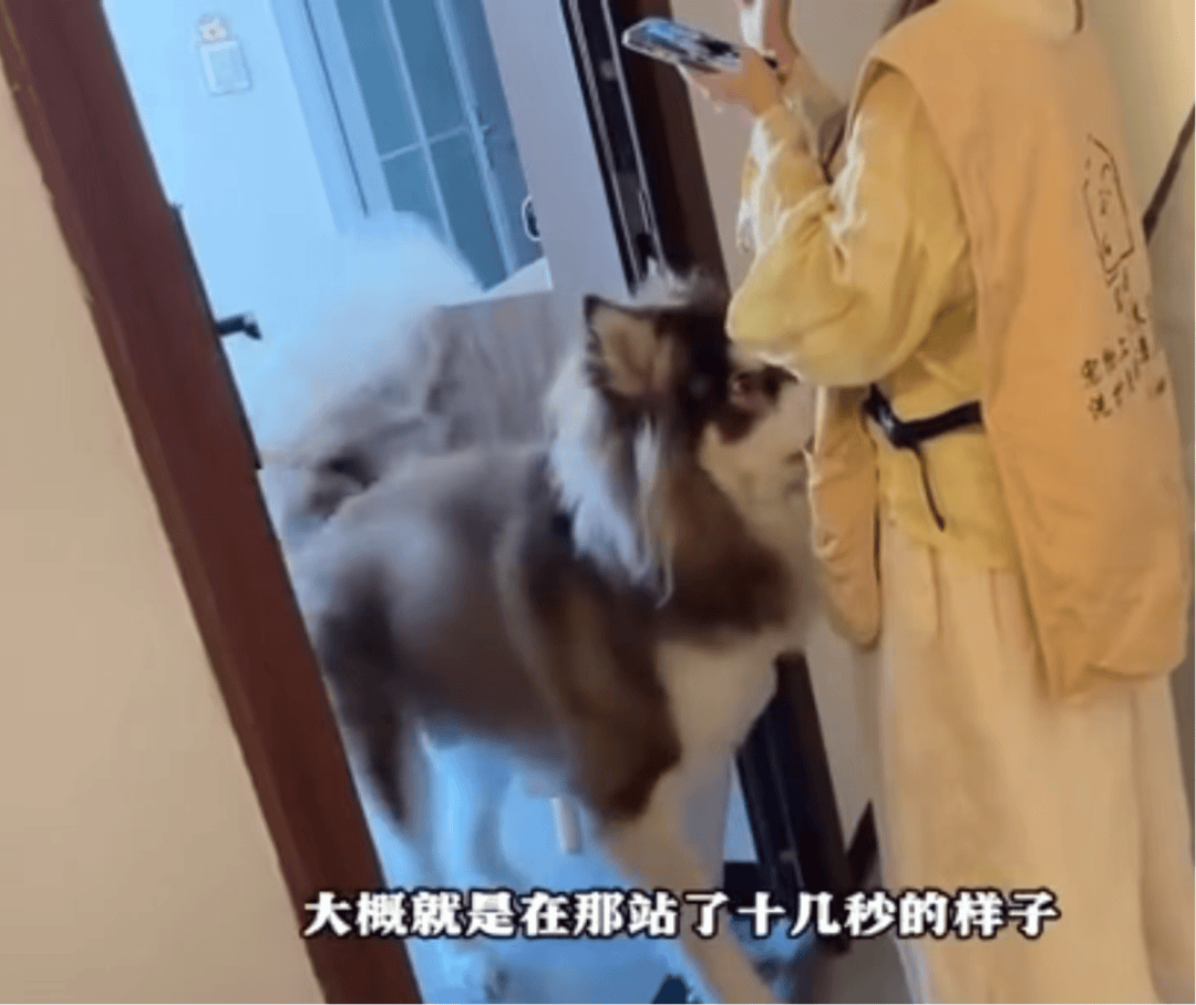 女子上门代喂被100多斤阿拉斯加犬咬伤毁容<strong></p>
<p>币特儿</strong>，牙槽骨和牙齿都被撕咬脱落，狗主人却称→