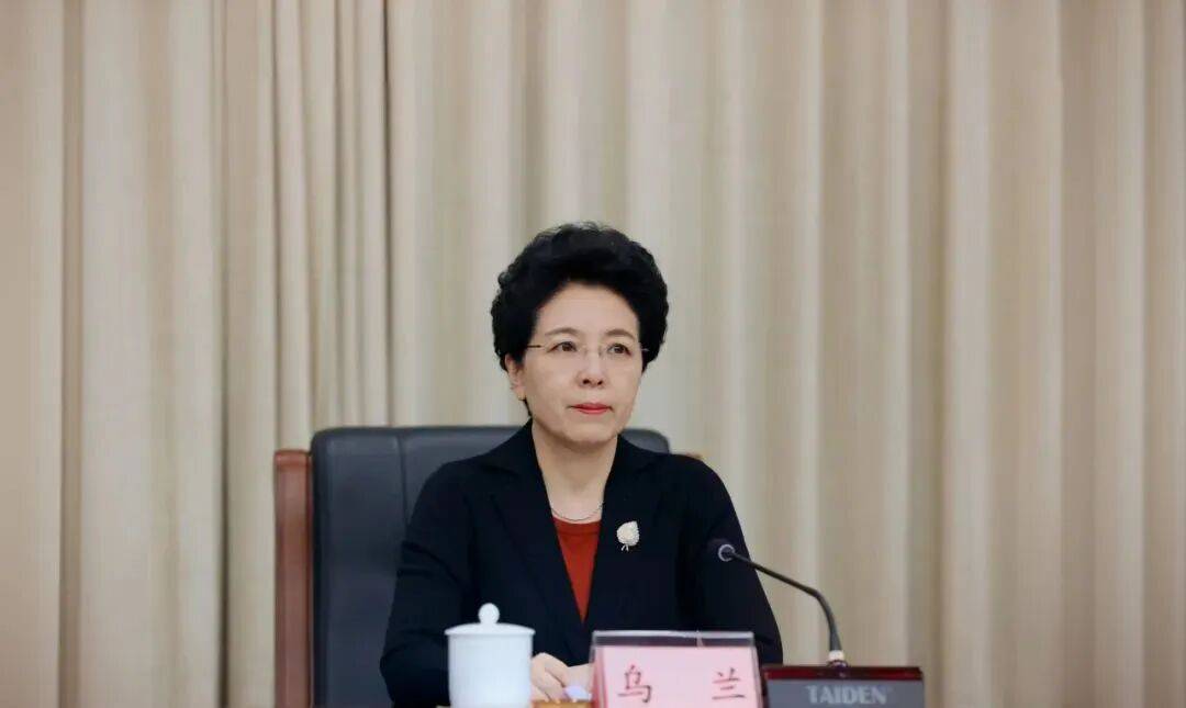 打虎！乌兰<strong></p>
<p>币村网</strong>，任上被查