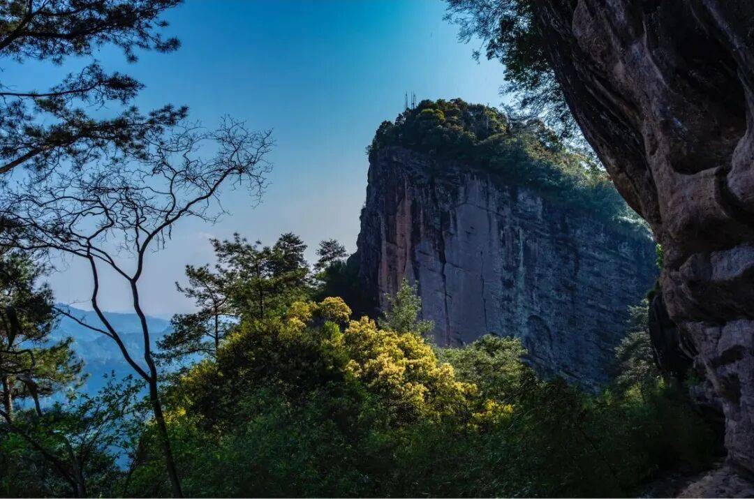 为什么年轻人迷上了爬山？ | 秋高气爽<strong></p>
<p>币聪</strong>，是时候出发了→