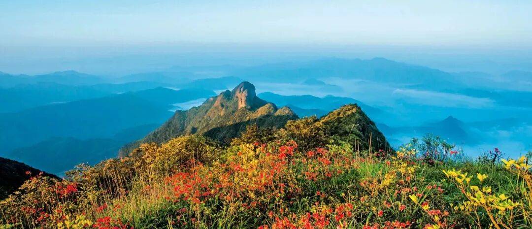 为什么年轻人迷上了爬山？ | 秋高气爽<strong></p>
<p>币聪</strong>，是时候出发了→