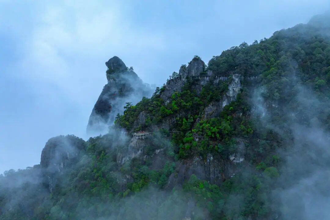 为什么年轻人迷上了爬山？ | 秋高气爽<strong></p>
<p>币聪</strong>，是时候出发了→