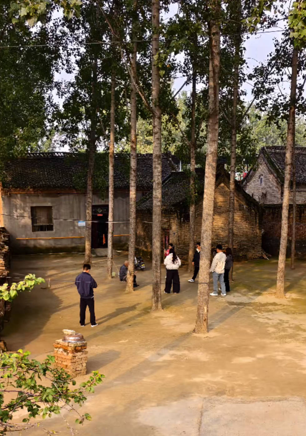 河南一大爷的院子因干净成网红打卡地<strong></p>
<p>福币价格</strong>,网友:像极了小时候家的样子,想拖鞋光脚丫子走