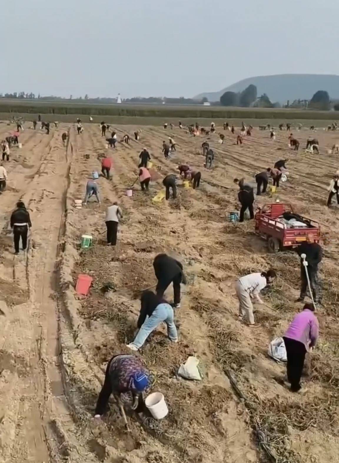 数百人冲进地里捡红薯<strong></p>
<p>币对</strong>,田主称是秋收剩下的,网友:免费翻地,利人利己