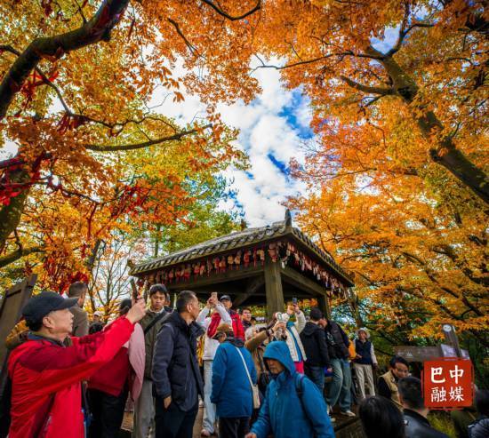 多图 | 红叶遍山野 赏秋正当时 光雾山红叶进入最佳观赏期