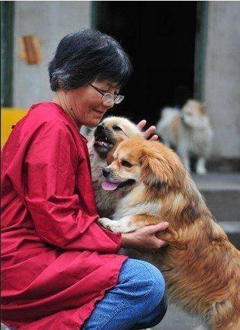 合肥卖房救助流浪狗的魏阿姨离世<strong></p>
<p>杀马特</strong>,病中仍然惦记着基地的600只流浪狗,工人:不敢相信世上还有这样执着的人