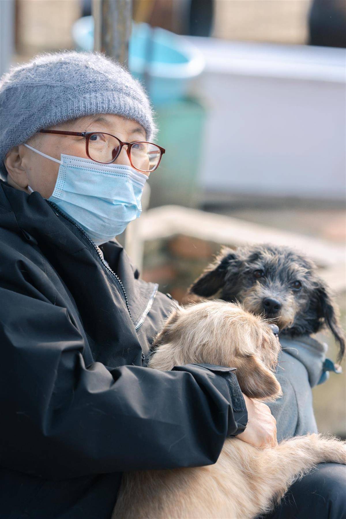 合肥卖房救助流浪狗的魏阿姨离世<strong></p>
<p>杀马特</strong>,病中仍然惦记着基地的600只流浪狗,工人:不敢相信世上还有这样执着的人