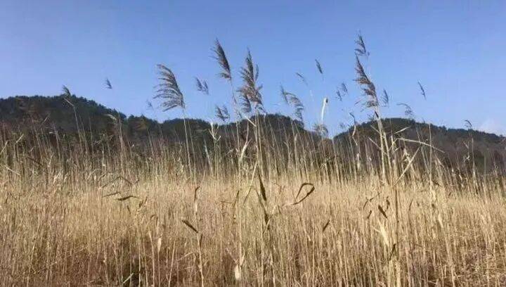 禁止任何形式穿越<strong></p>
<p>特币</strong>!杭州一地发布最严禁令