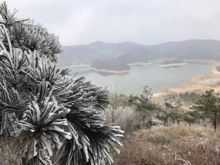 禁止任何形式穿越<strong></p>
<p>特币</strong>!杭州一地发布最严禁令