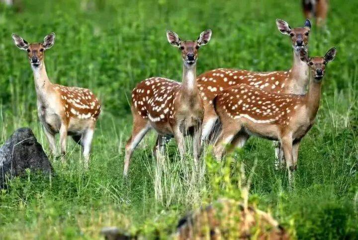 禁止任何形式穿越<strong></p>
<p>特币</strong>!杭州一地发布最严禁令