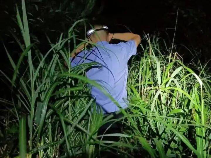 禁止任何形式穿越<strong></p>
<p>特币</strong>!杭州一地发布最严禁令