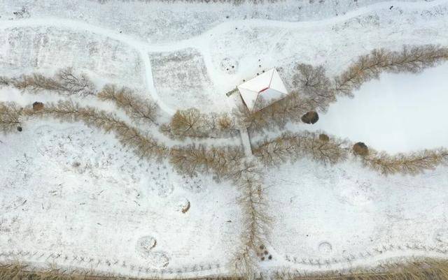 百年难遇“早立冬”来了<strong></p>
<p>淘币网</strong>!有啥讲究?早看早准备!