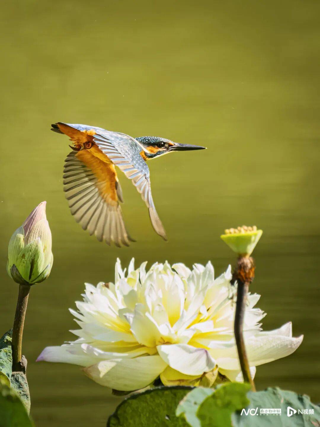 东莞最新发布:将严厉打击这些行为<strong></p>
<p>淘币网</strong>!