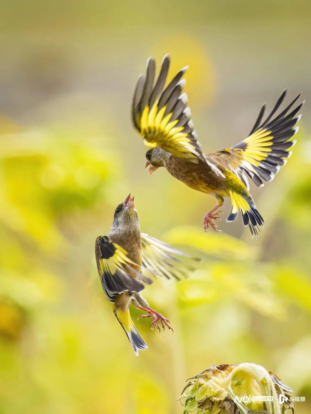 东莞最新发布:将严厉打击这些行为<strong></p>
<p>淘币网</strong>!