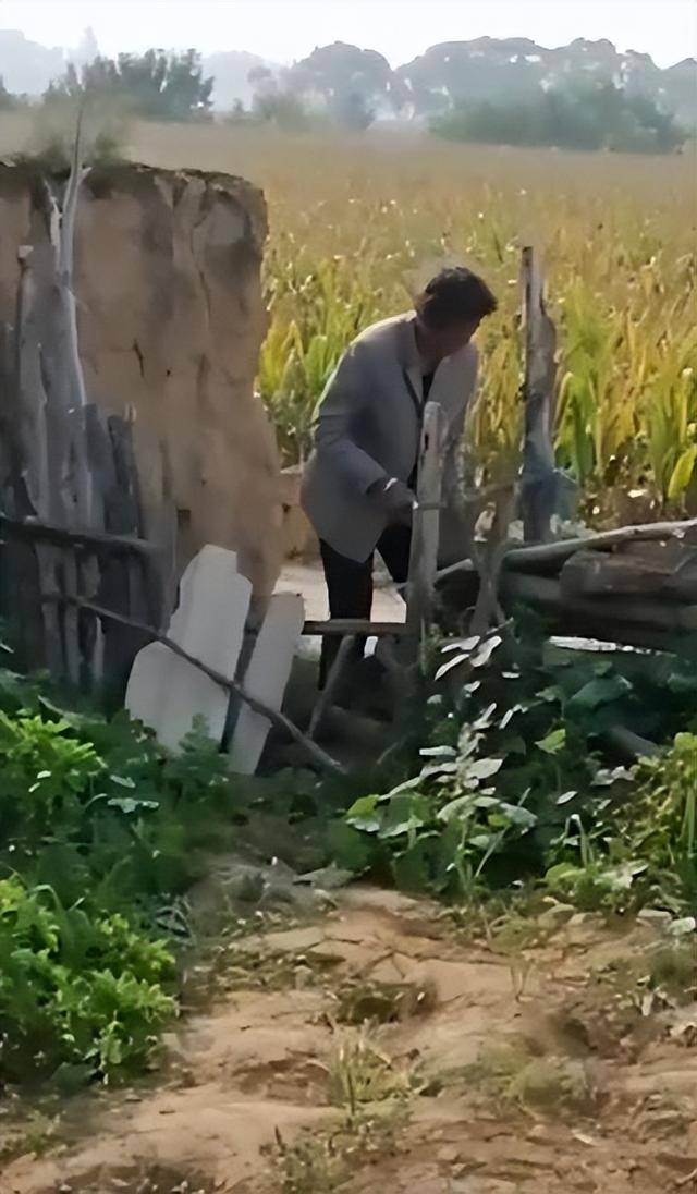 陕西一女子疑因拍亲姑姑偷玉米遭姑父棍杀<strong></p>
<p>GDT虚拟币</strong>，邻居欲报警也遇害