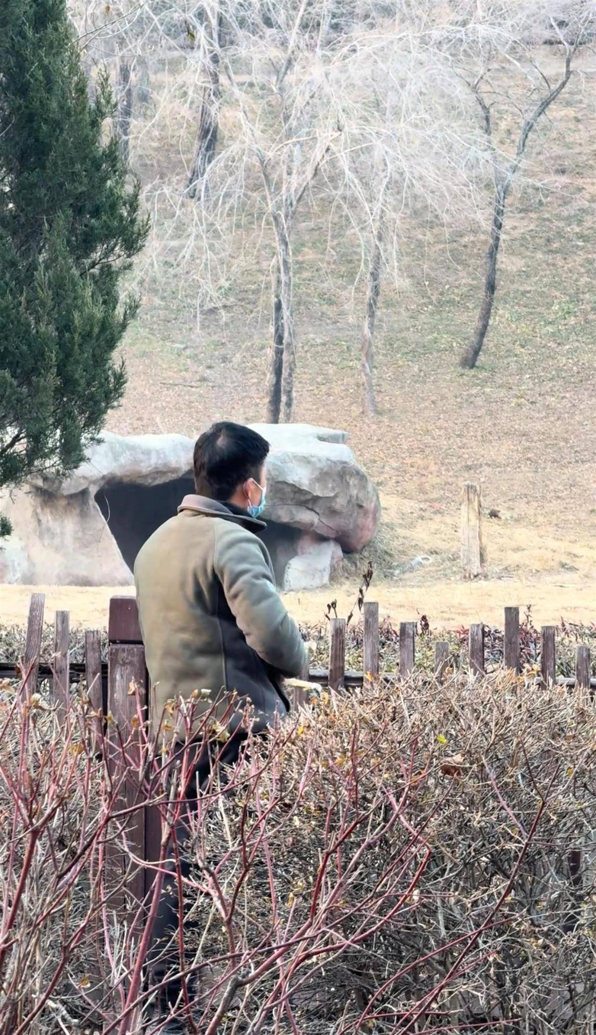 沈阳一男子动物园内用弹弓射老虎<strong></p>
<p>虚拟币买就跌</strong>，目击者称其“填装了弹丸”，打完后老虎爬起来了，园方：正在核实情况