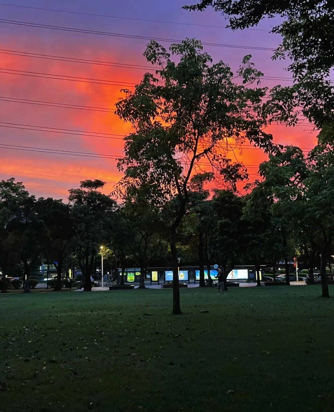 第一批丁克老后<strong></p>
<p>虚拟币买就跌</strong>,“伴侣能陪一程,但最后都要靠自己”