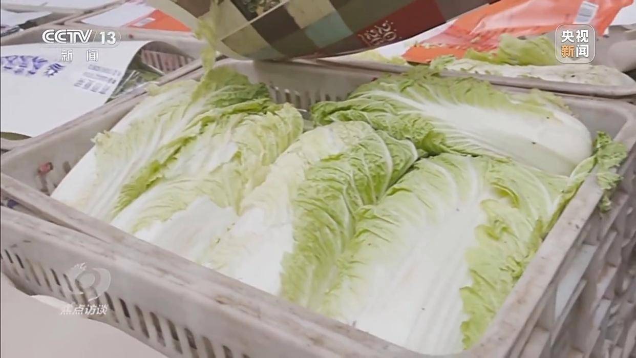 单棵售价超百元<strong></p>
<p>每天送虚拟币</strong>，起底“套牌白菜”背后的销售套路