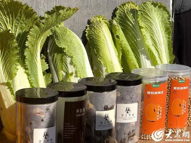 山东青岛:全国首批“板蓝根白菜”喜获丰收<strong></p>
<p>NGS虚拟币</strong>,正式上市!首批10万棵已被上海采购商“包圆”