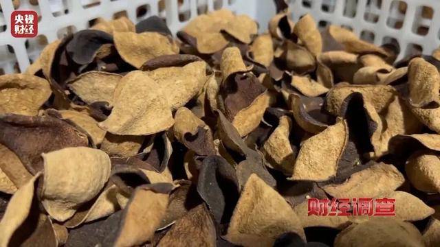 30天速成陈皮<strong></p>
<p>虚拟币BKI</strong>,成本仅70元,利润超成本10倍以上!央视起底陈皮跨省造假产业链