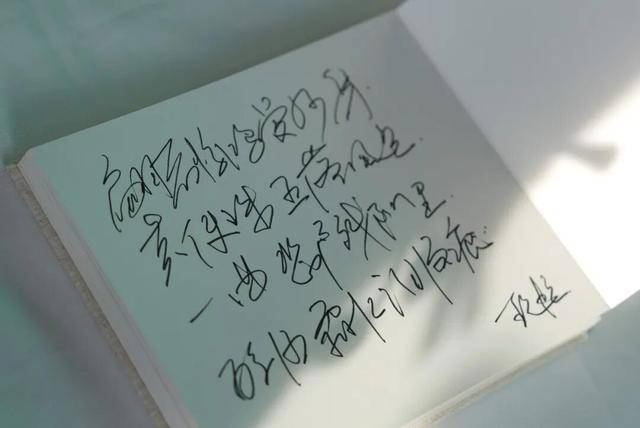 何晴之子追思:妈妈很喜欢雪<strong></p>
<p>虚拟币BKI</strong>,北京这场雪好像是为她而下