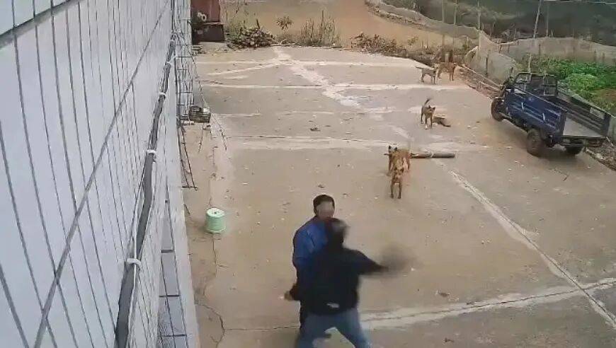 男子家门口吃橘子被邻居一拳打昏<strong></p>
<p>瑞安炒虚拟币</strong>,警方通报:因养狗问题起冲突,均有受伤