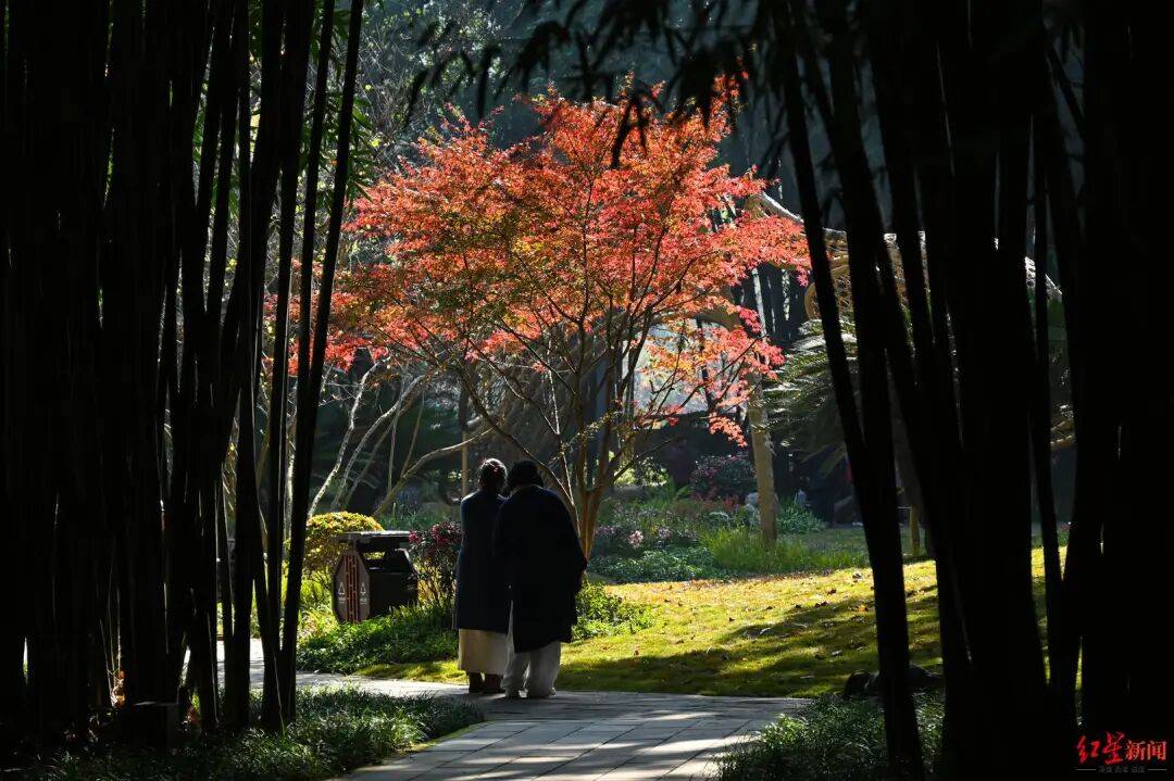 我国已进入拉尼娜状态<strong></p>
<p>买虚拟币赔钱</strong>!四川今冬或“前暖后冷”