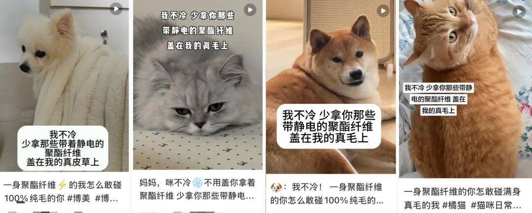 “聚酯纤维衣服是旧塑料瓶做的”<strong></p>
<p>虚拟币比赛</strong>，这今冬最歹毒造谣看得人生气