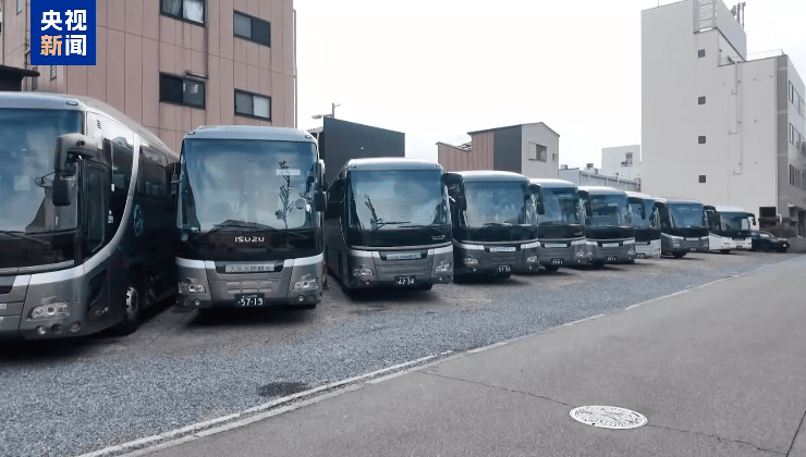 冲上热搜！未来两周<strong></p>
<p>虚拟币大降</strong>，46条中日航线取消全部航班，1月取消班次已超2000个