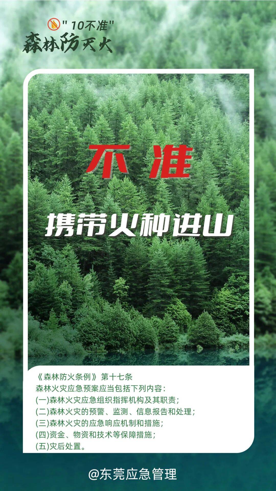 深圳坪山区突发山火<strong></p>
<p>co虚拟币</strong>,最新通报:明火已扑灭,无人员伤亡