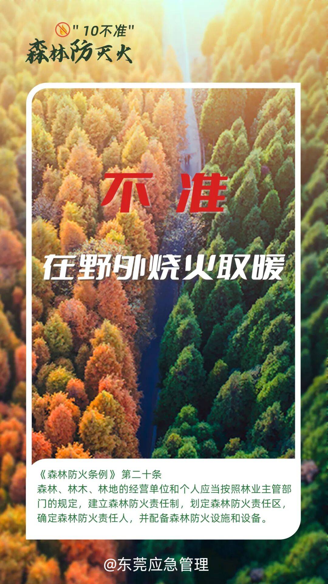 深圳坪山区突发山火<strong></p>
<p>co虚拟币</strong>,最新通报:明火已扑灭,无人员伤亡