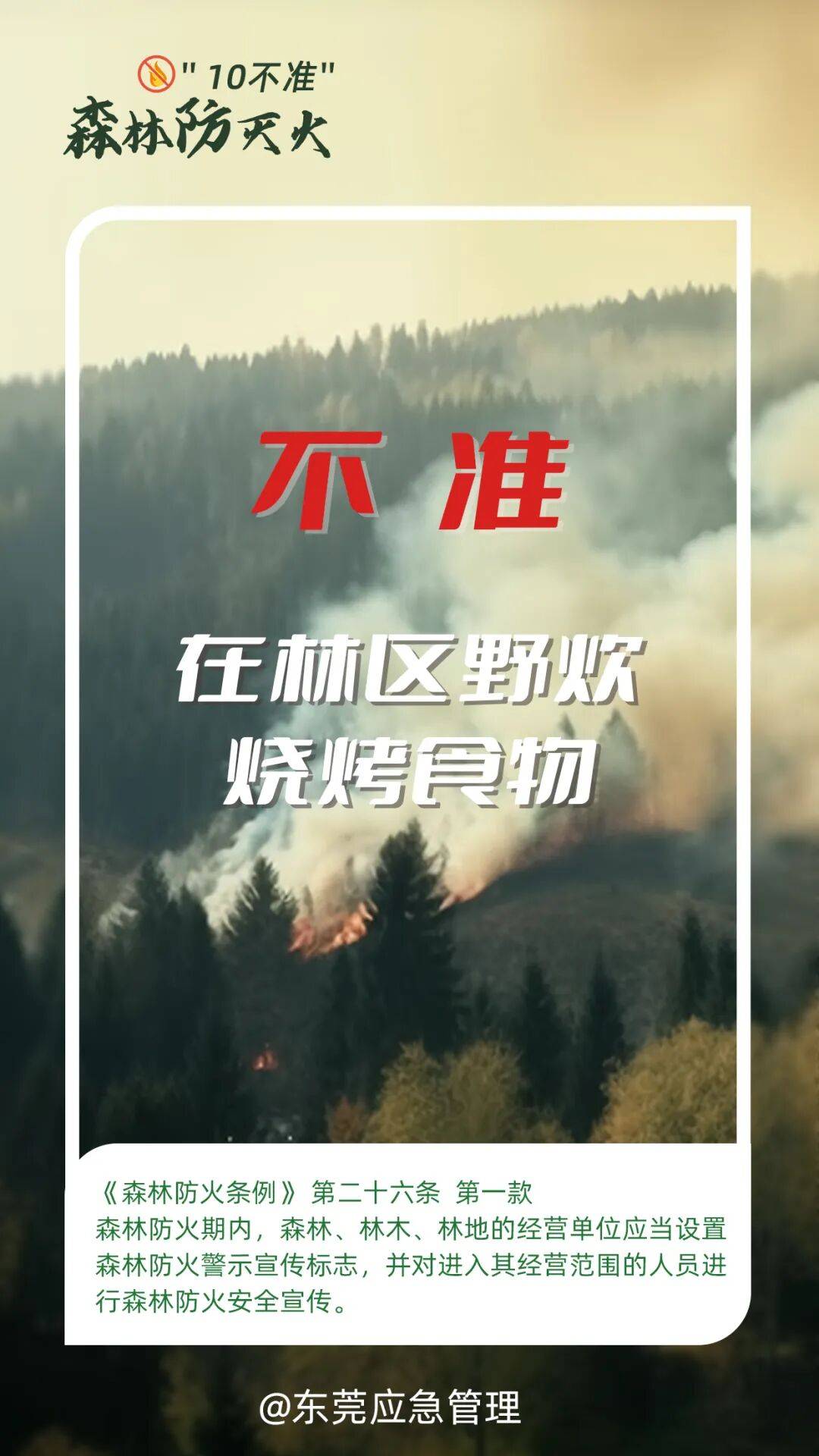 深圳坪山区突发山火<strong></p>
<p>co虚拟币</strong>,最新通报:明火已扑灭,无人员伤亡